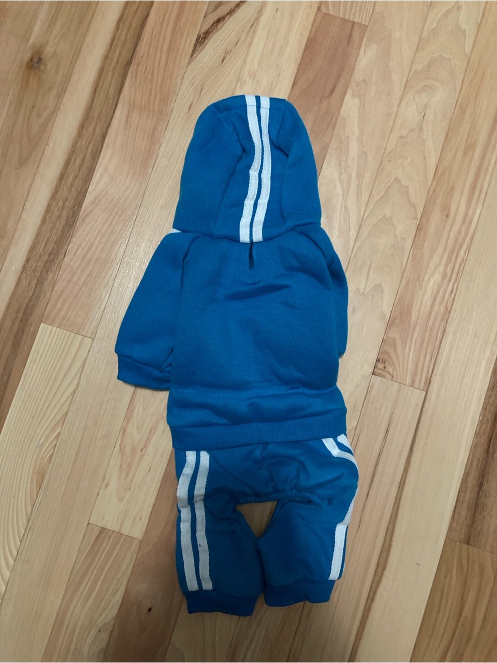 Dog Track Suit Jacket size Small NWT